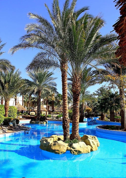 39 Pickalbatros Golf Beach Resort