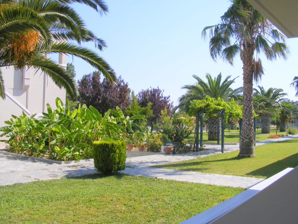 Blick Richtung Poolbereich von Zimmer 205 aus Hotel Esperia