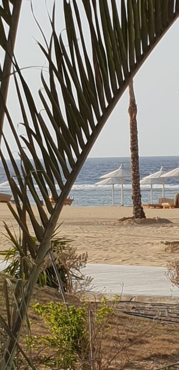 Strand Pickalbatros Sea World Resort - Marsa Alam