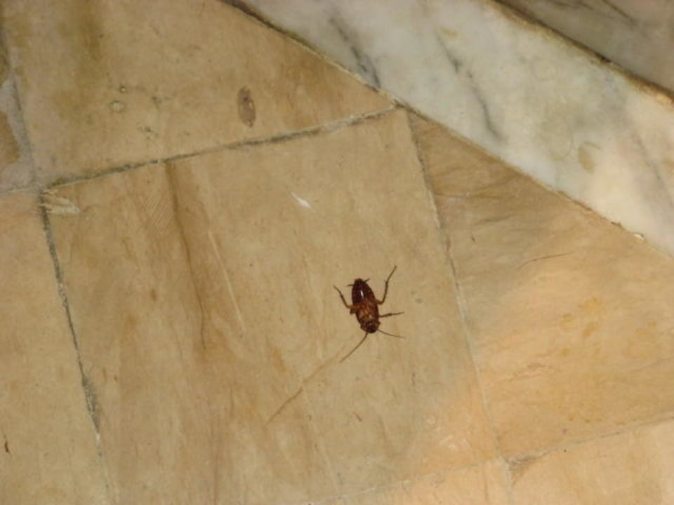 Toaleta w hotelu (wspolna) El Mouradi Club Kantaoui