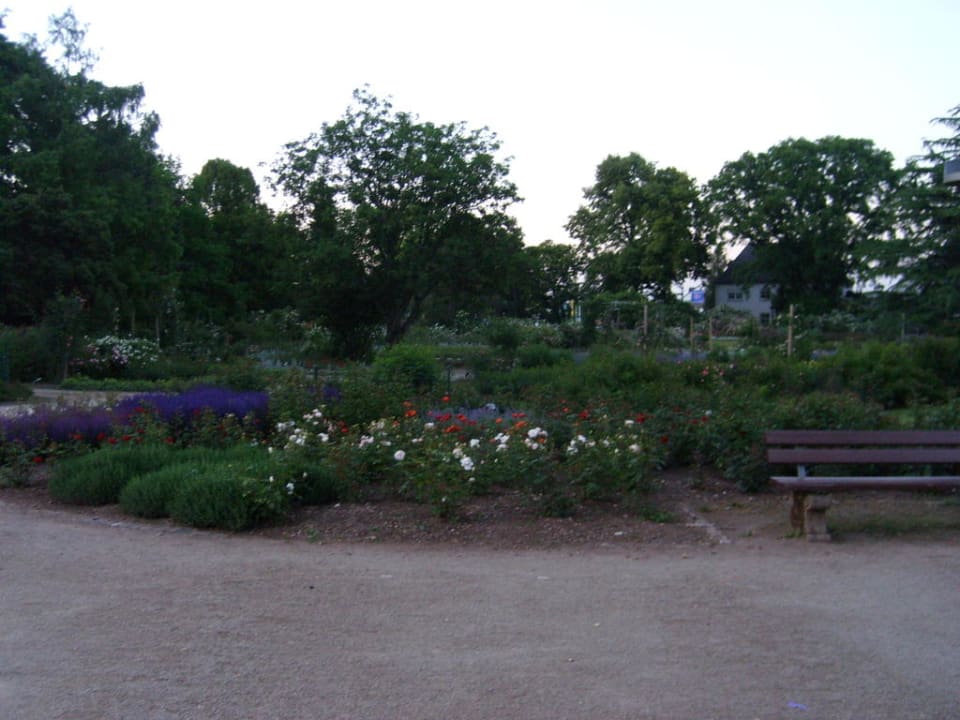 Park hinter dem Hotel Nells Park Hotel