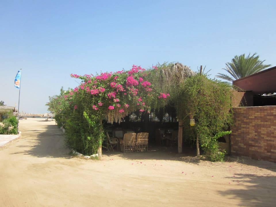 Mittagsrestaurant Utopia Beach Club