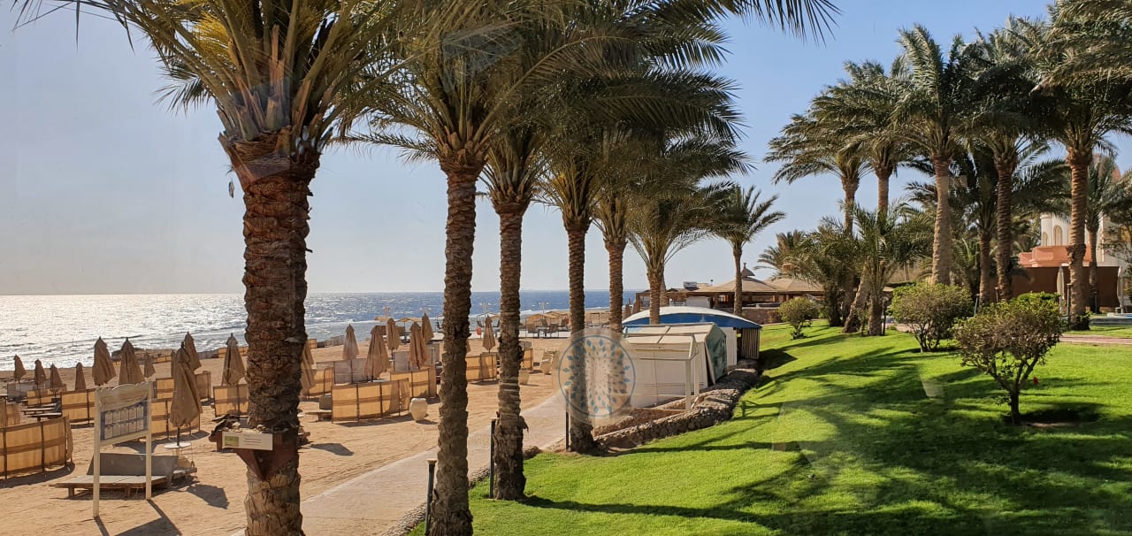 Strand Serenity Alma Heights
