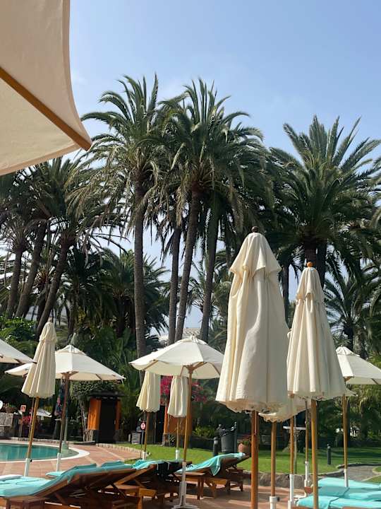 Pool Seaside Hotel Palm Beach