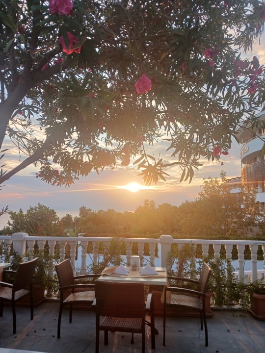 Ausblick Alba Queen Hotel