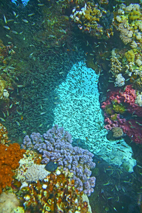 Sport & Freizeit Cleopatra Luxury Resort Makadi Bay