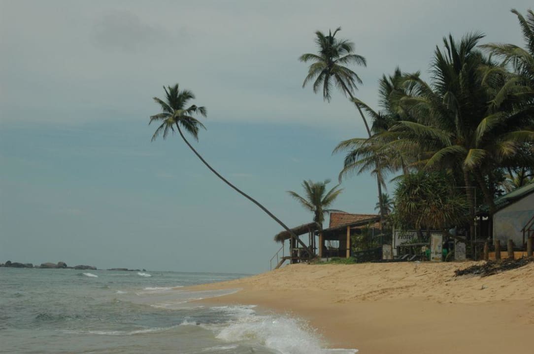 Strand vom Hotel Palm Beach Guesthouse