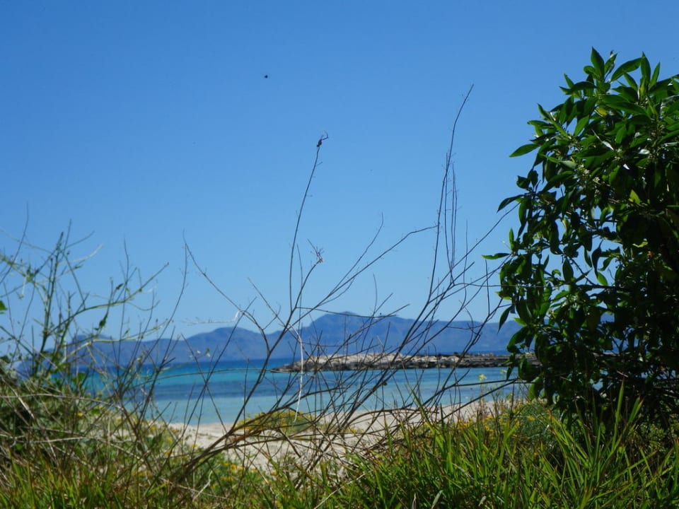 Ausblick vom Garten auf das Meer Playa Esperanza Resort
