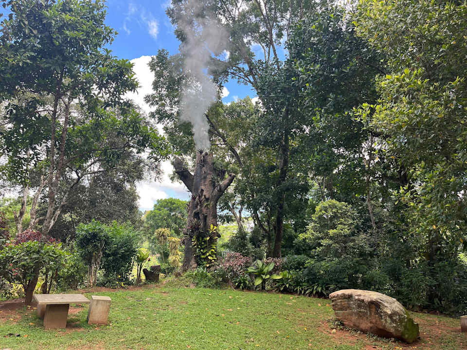 Zimmer Homes Bungalow by Tree of Life