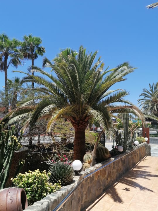 Außenansicht Maritim Playa