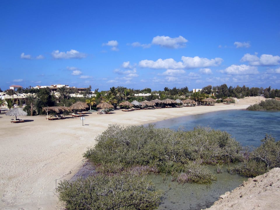 Mangroven am Hotelstrand Hotel Mangrove Bay Resort