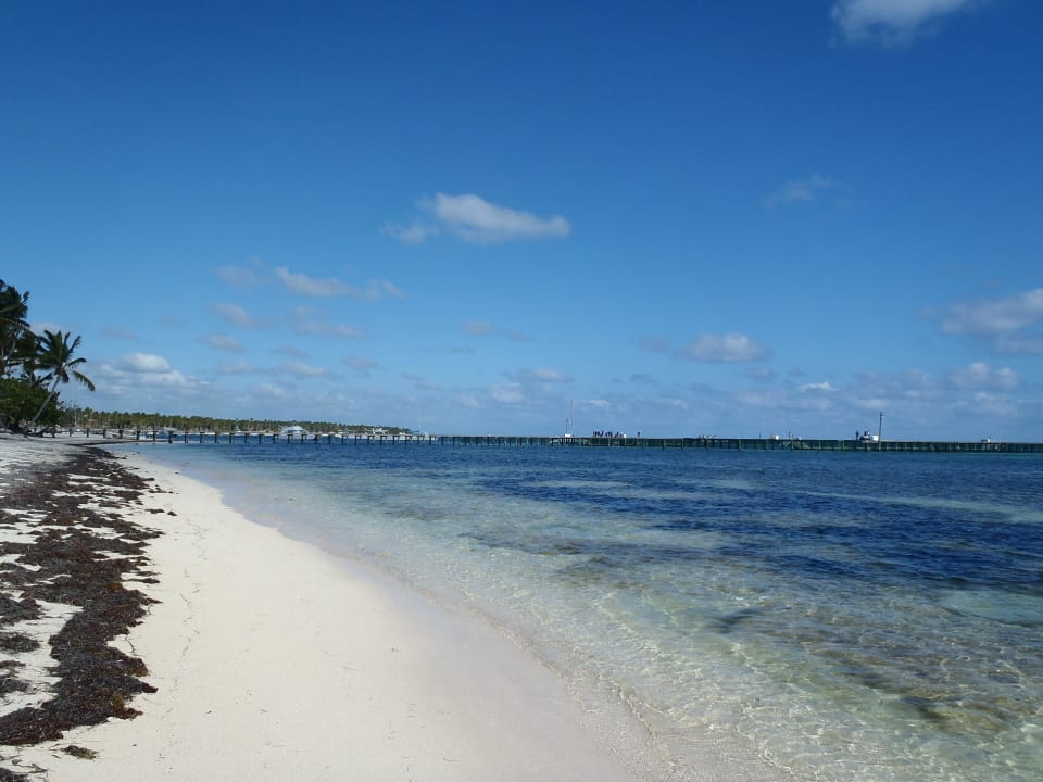 Links & rechts Catalonia Punta Cana - All Inclusive