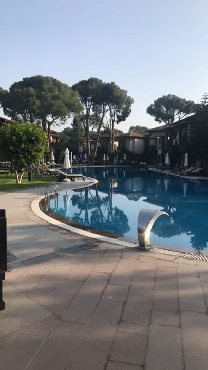 Pool Papillon Ayscha