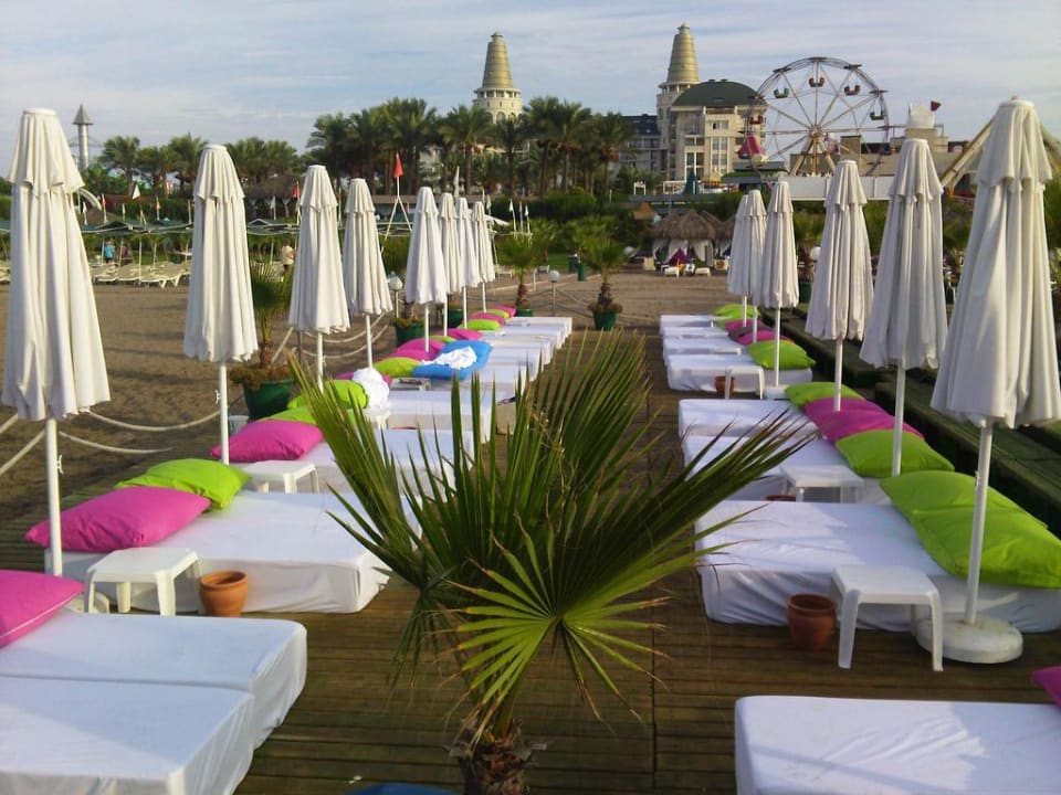 Urlaub im Bett am Strand  Hotel Delphin Diva