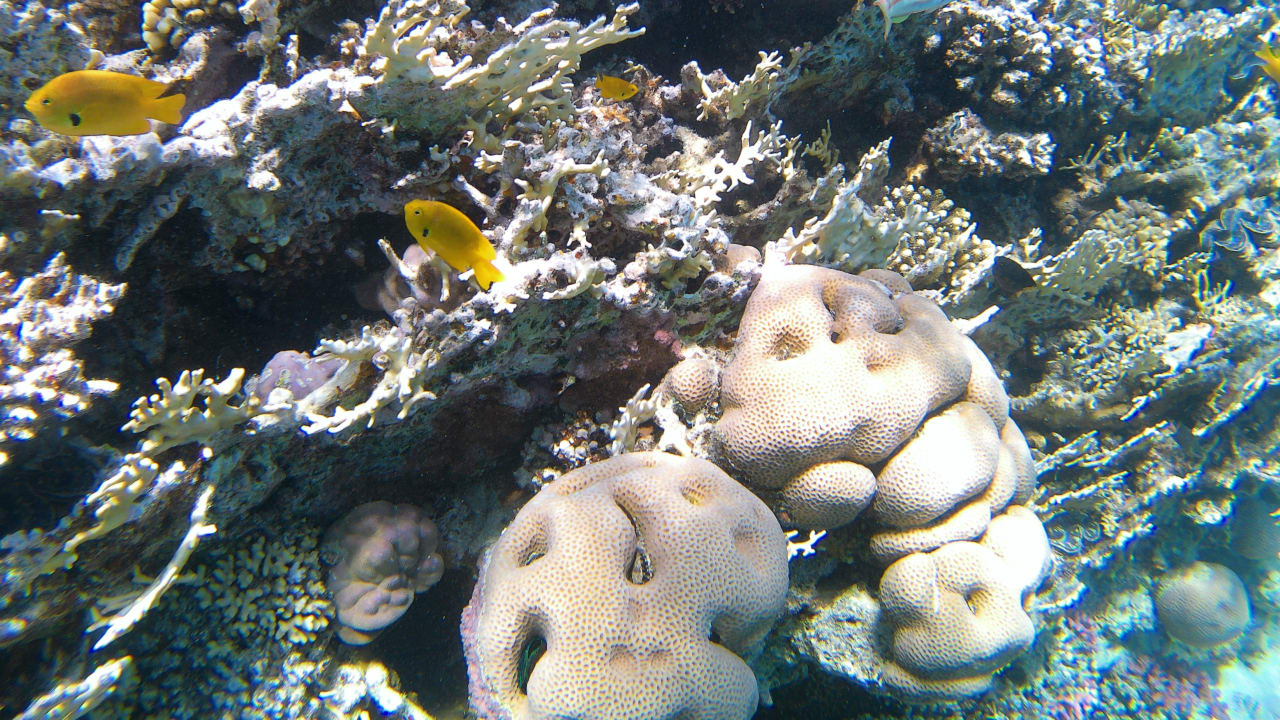 Sport & Freizeit Makadi Spa - Adults only