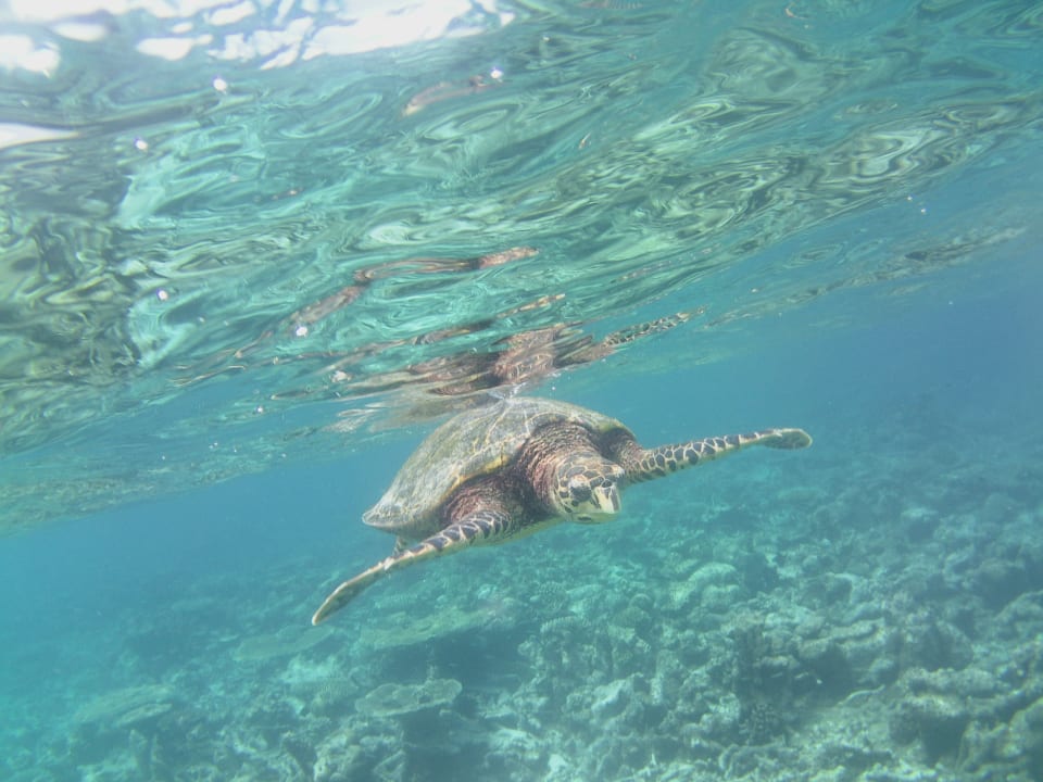 Sport & Freizeit NH Collection Maldives Havodda Resort