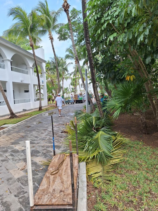 Gartenanlage Hotel Riu Tequila