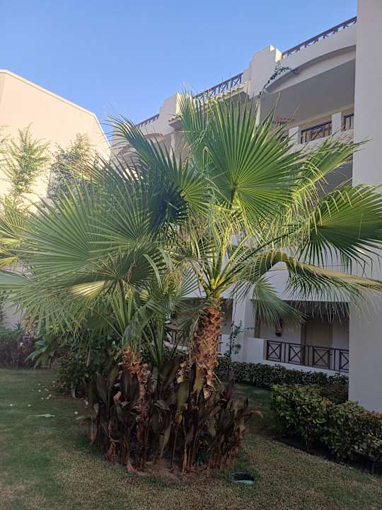 Zimmer Jaz Costa Mares (Adults Only)