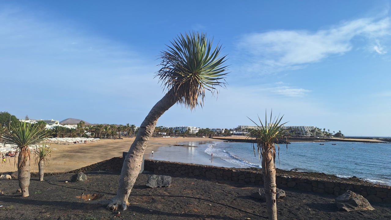 Strand allsun App.-Hotel Albatros