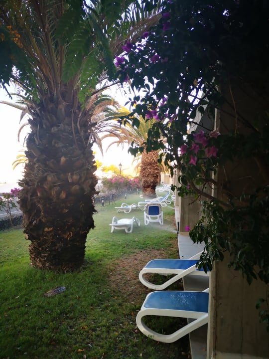 Gartenanlage Hotel Costa Calero