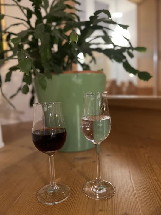 Gastro Hotel Rübezahlbaude