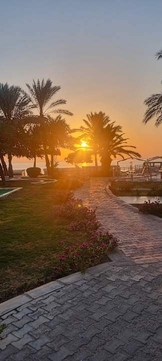 Ausblick Serenity Alpha Beach