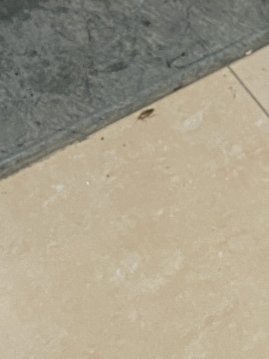 Zimmer Emirates Grand Hotel