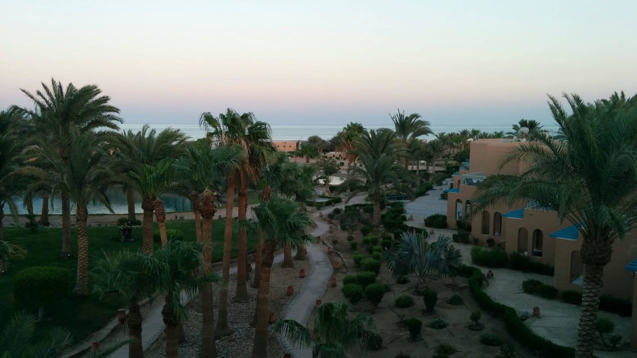 Zimmer mit Meerblick Club Paradisio El Gouna, Red Sea