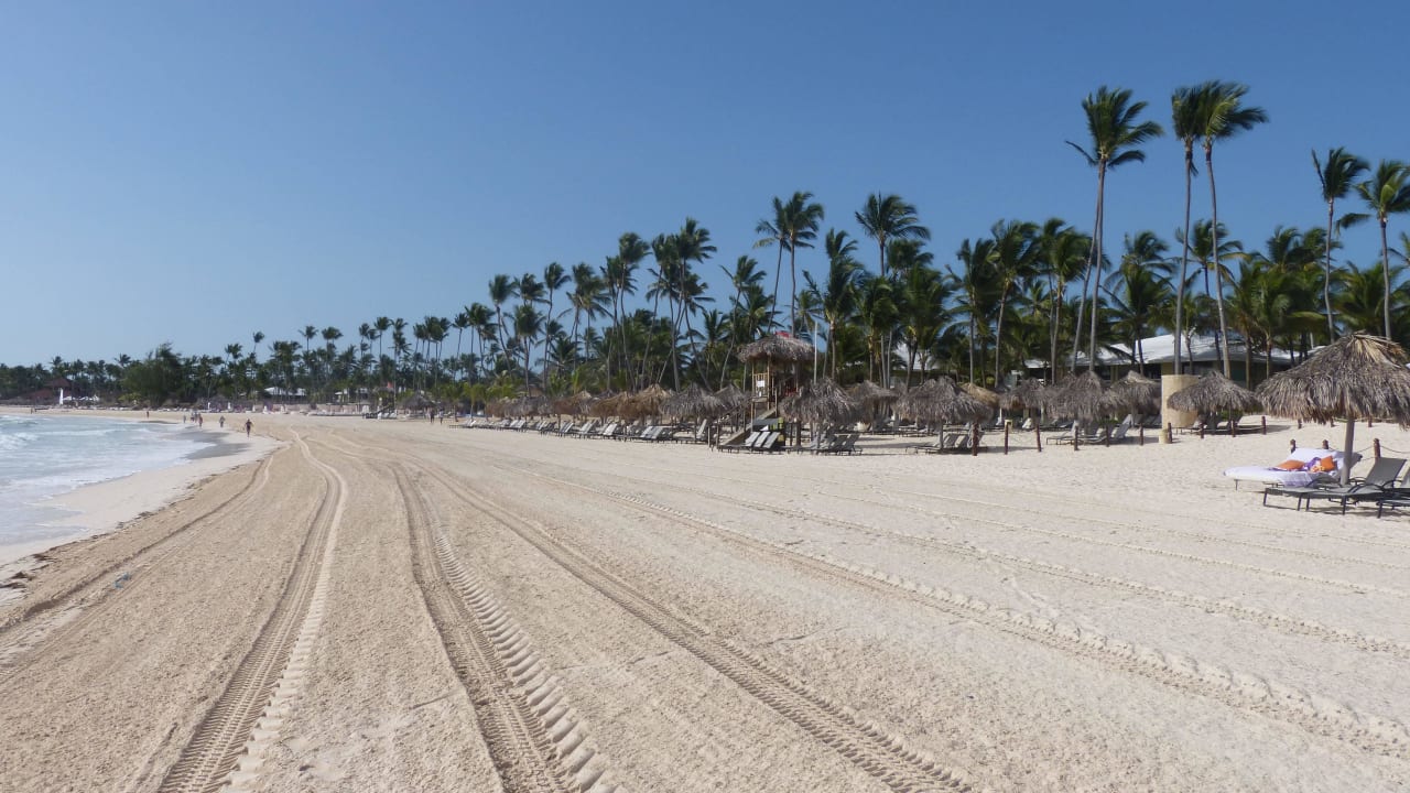 Gesäuberter Strand Paradisus Punta Cana Resort (Im Umbau/Renovierung)