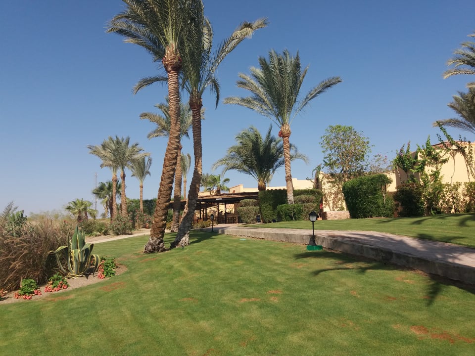 Gartenanlage Steigenberger Coraya Beach - Adults only