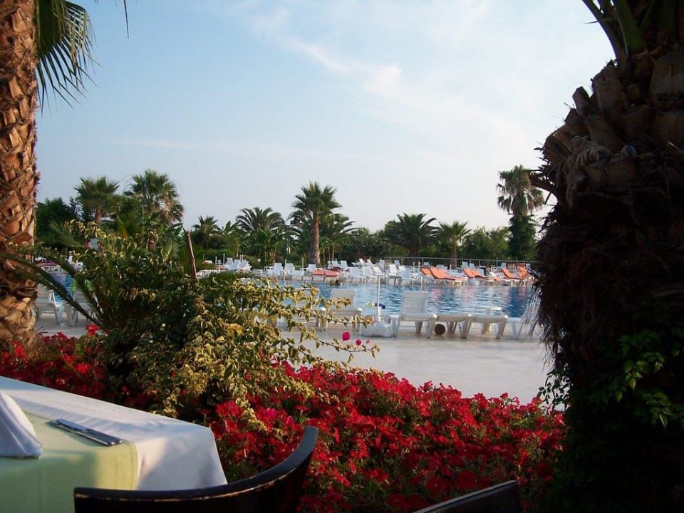 Impressionen 2009 VONRESORT Golden Coast