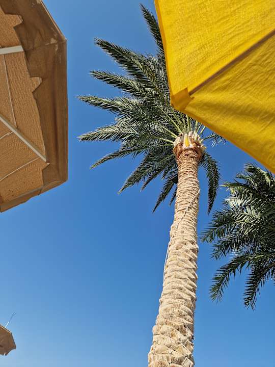 Pool Pickalbatros Royal Moderna Resort-Sharm El Sheikh