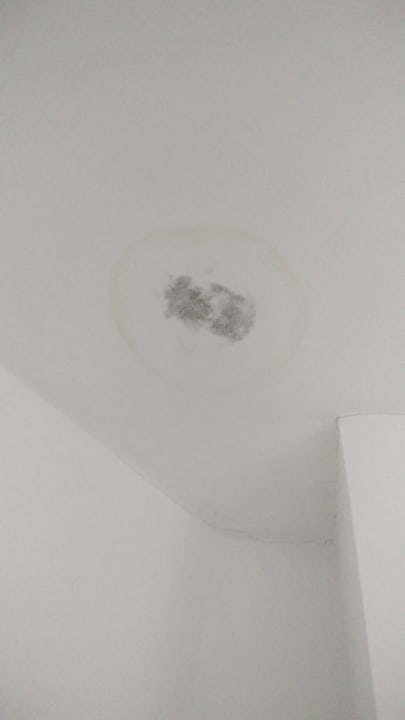 Zimmer Tartan Lodge - Hostel