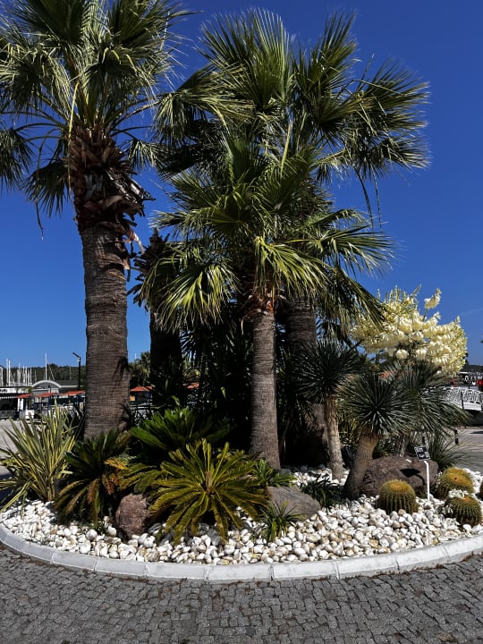 Gartenanlage Club Resort Atlantis