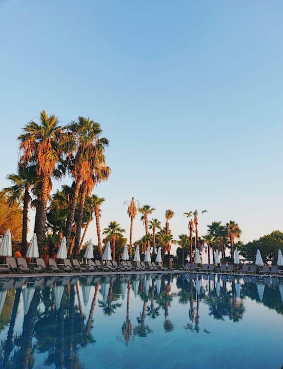 Pool Blue Waters Club