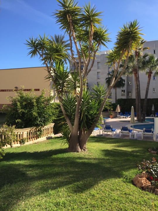 Gartenanlage Hotel Metropolitan Playa