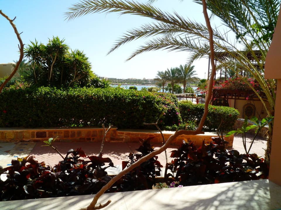 Coraya Beach, Garten Steigenberger Coraya Beach - Adults only