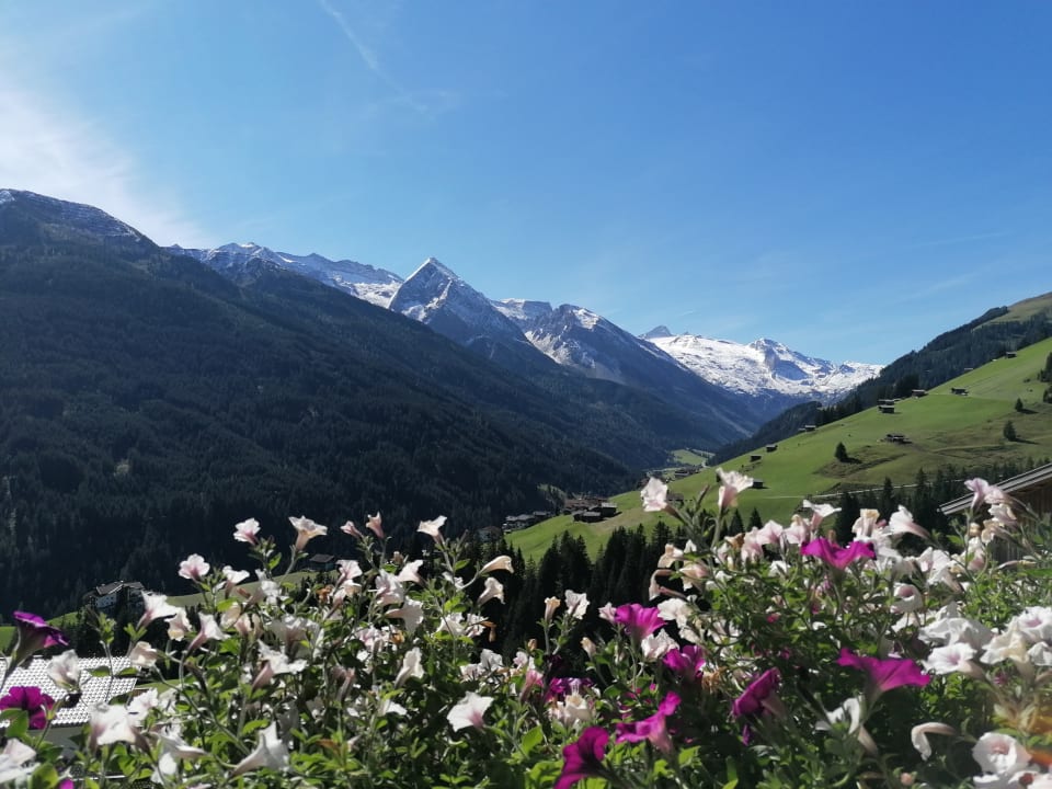 Ausblick Pension Himmenhof