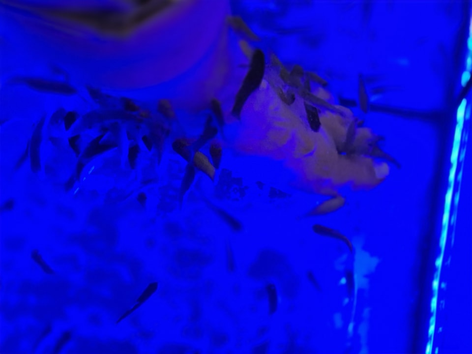 Sport & Freizeit Sentido Marea