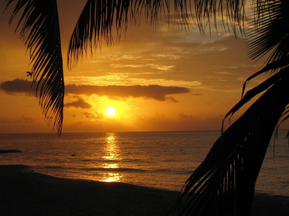 Sonnenaufgang Hotel Riu Tequila