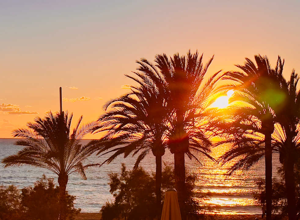 Ausblick allsun Hotel Pil-lari Playa