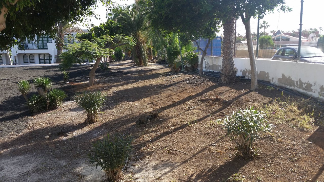 Blick in die seitliche Gartenanlage H10 Ocean Suites