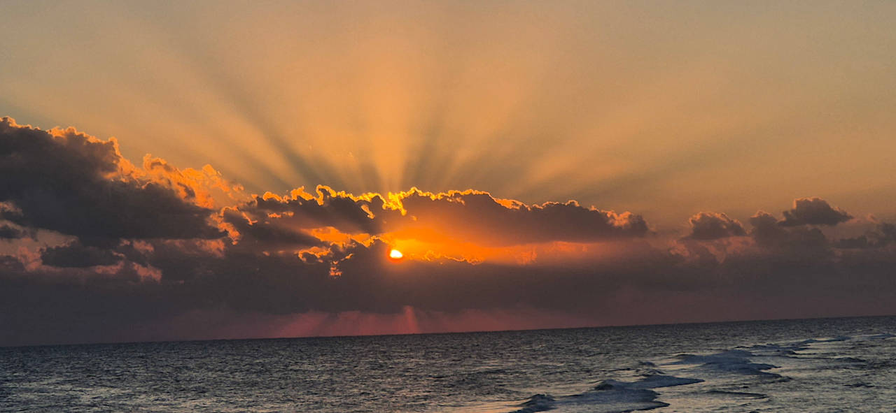 Strand JAZ Neo Reef Marsa