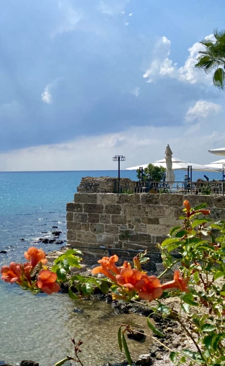 Gastro Pension Begonville