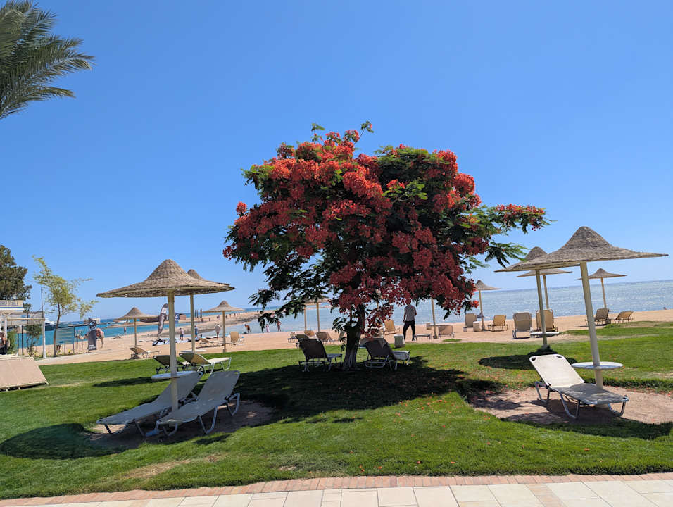 Strand JAZ Aquamarine Resort