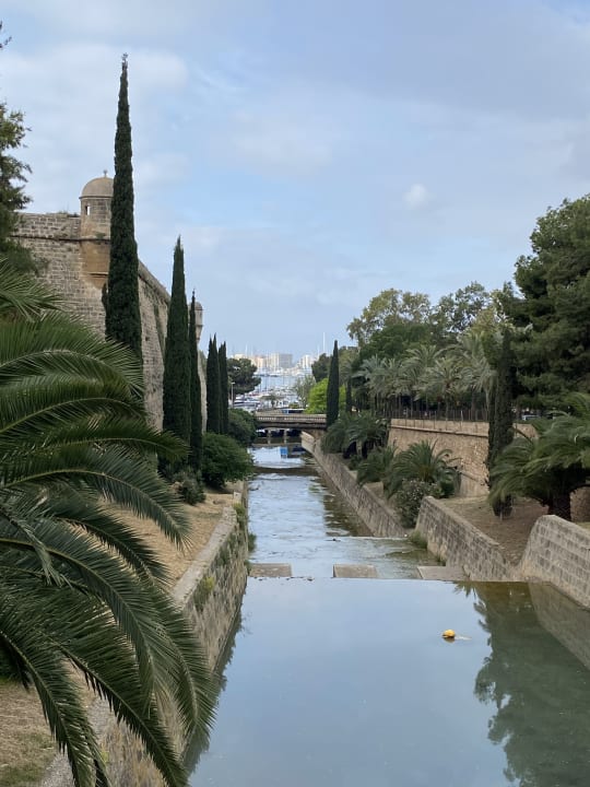 Gartenanlage Grupotel Playa de Palma Suites & Spa