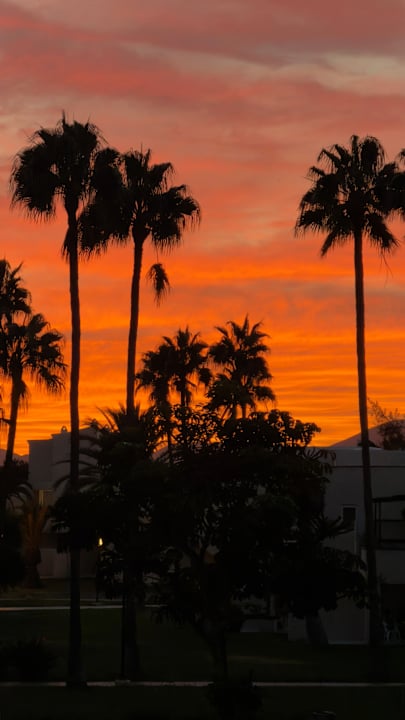 Außenansicht Hotel Riu Oliva Beach Resort