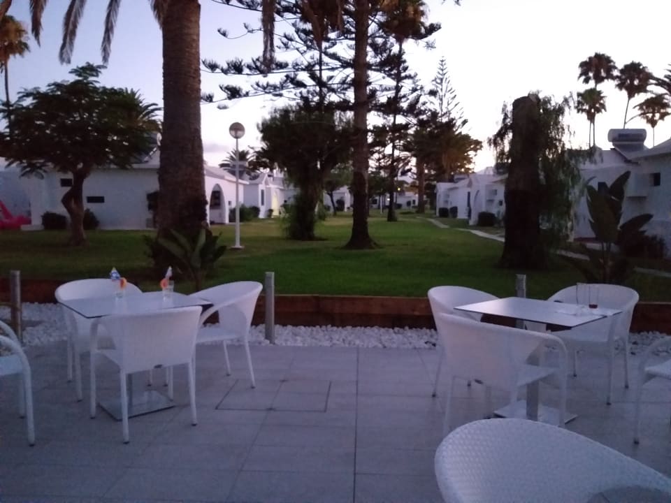 Pool Canary Garden Club