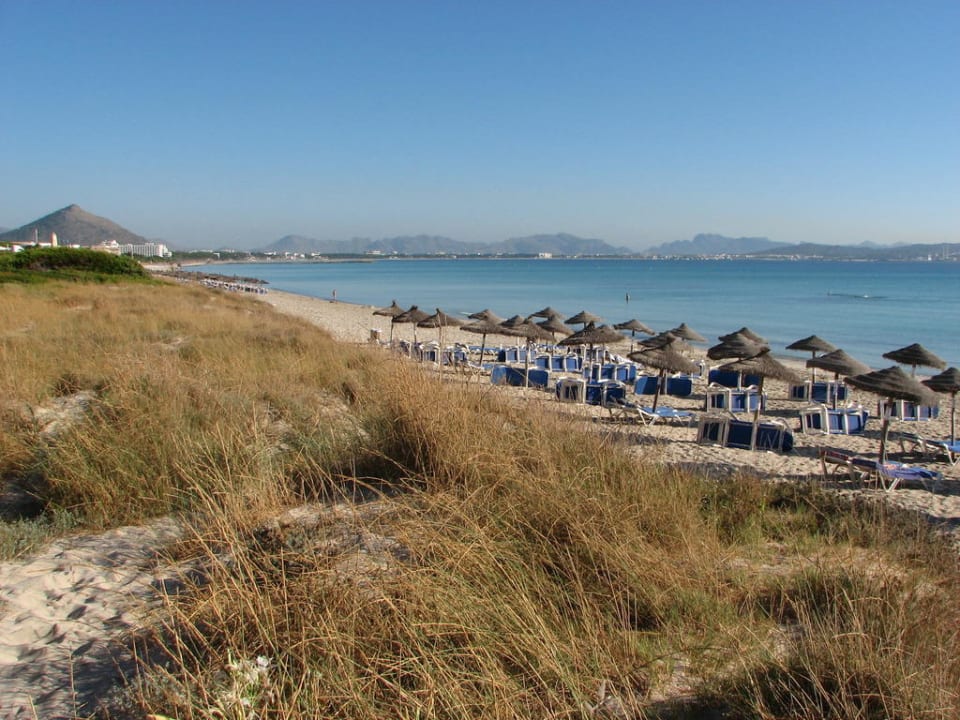 Strand beim Hotel Playa Garden Selection Hotel & Spa