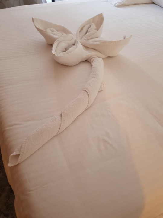 Zimmer Pharaoh Azur Resort
